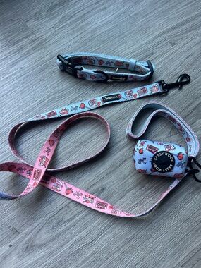 Sassy Woof Mama’s Boy Dog Walk Set • collar fabric leash waste bag holder